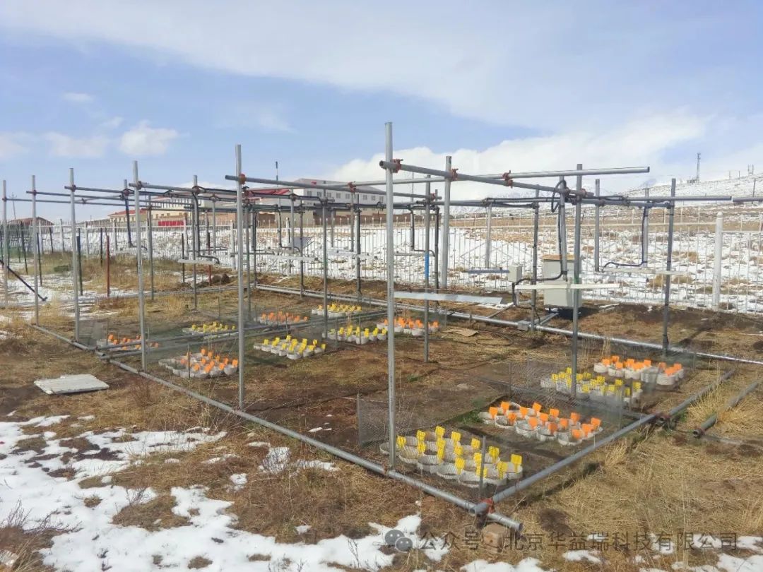 贺金生教授团队解析青藏高原植物不同功能群对季节非对称性增温的特异性响应