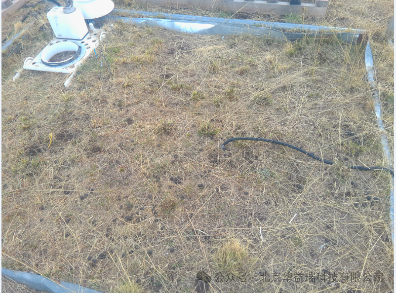 贺金生教授团队解析青藏高原植物不同功能群对季节非对称性增温的特异性响应